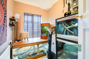 Photo 11- click for photo gallery